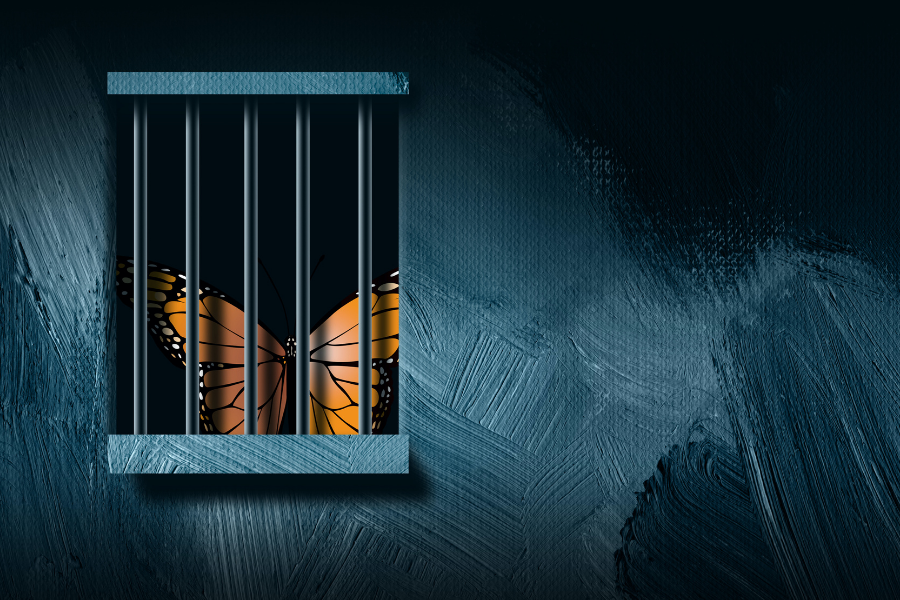 Introducing Growth: Transforming Penal Reform Together